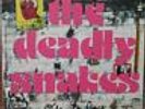 DEADLY SNAKES Ode to Joy LP NEW crypt reatard oblivians bbq king khan spaceshits