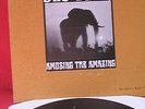 SLO BURN- Amusing The Amazing/ Kyuss Live... LP