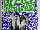 THE PSYCHOTIC TURNBUCKLES (ROB YOUNGER): PSYCHOTIC SITUATION -NEAR MINT & INSERT