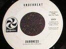 PRIVATE 1968 MN PROMO Heavy Rock/Psych 45 - UNDERBEAT 