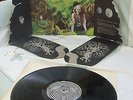 Vinyl 12