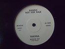 TIMORIA. SIGNOR NO/RICHIAMO ELETTRICO 1987. 45 GIRI 12