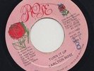 '86 ROSE DIGI KILLER 45 CARLTON ROSE TURN IT UP ?