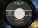 DYNAMIC WALTER B. & NEW BREED BAND 45 Something Wrong ALLIED rare funk soul