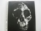 Slayer Brazilian Intervention