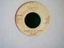 RARE MODERN SOUL 45 - PICTURES I,M GONNA SEE YOU THROUGH - NORTHERN SOUL - FUNK