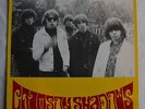 CRIMSON SHADOWS Hangin out LP