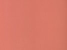 Primary Colours - Eddy Current Suppression Ring (2008, Vinyl NEW)