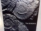 THE SUNDAYS Picture Disc LP Reading Writing Arithmetic First Press UK 1990 Mint