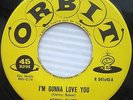 KENNY BAKER i'm gonna love you goodbye little star 1958 ROCKABILLY 45 Orbit C227