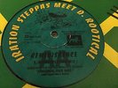 Iration Steppers Reminiscence Rare Killer Roots 10