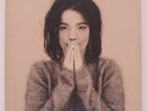 Bjork - Debut - LP 1993 ORIG FRENCH PRESS One Little Indian POST TRICKY RARE