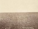 The Milk Carton Kids / The Ash & Clay - Vinyl LP + CD