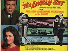 THE SURFARIS / J. SOMMERS 