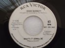 SUSAN BARRETT - WHATS IT GONNA BE - RCA VICTOR- SOUL