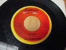 SIXTIES /ROCKIN INSTRO: The Grasshoppers Twin beat w/Cars members Sunburst mp3