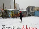 johnny flynn - a larum (LP) 600753105795