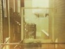 Painted Palms - Carousel (Lp) (2013) - New - 7