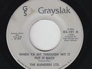 Funk 45 - Blenders Ltd. - When Ya Git Through Wit It - Grayslak - mp3