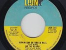70s Soul 45 - We The People - Making My Daydream Real - Lion - mp3