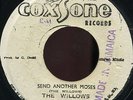 The Willows - Send Another Moses  7