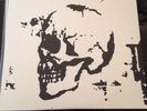 Tim Timebomb and Friends Bone Vinyl Rancid Nofx Operation Ivy The Transplants