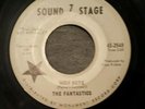 THE FANTASTICS: HIGH NOTE/THAT ONE 7