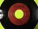 HEAR The New Breed Akron NY My Baby/She's Fallen BENJO 17319 Garage Psych