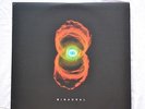 Pearl Jam Binaural Vinyl