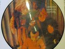 JIMI HENDRIX-BAND OF GYPSYS - LP LIMITED PICTURES DISC - Polydor