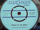 ROLAND   ALPHONSO  _  REGGAE IN THE GRASS
