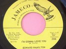 I'm Gonna Love You - Edward Hamilton - Jameco