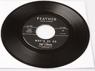 The Lyrics-So What / Why'd He Go -Feather Records