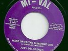 Joey Delorenzo - Wake Up To The Sunshine Girl