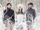 VENA PORTAE - VENA PORTAE (LP+MP3)  LP + DOWNLOAD NEW