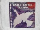 * * BRIMSTONE - PAPER WINGED DREAMS , RARE PRIVATE PRESS 1973 OHIO PSYCH LP. * *