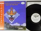 TED NUGENT AND THE AMBOY DUKES CALL THE WIND DISCREET P-7543W Japan PROMO OBI LP