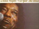 Buddy Guy Damn Right, Ive Got The Blues NEAR MINT Silvertone Vinyl LP