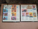 Two LP's ( The Sounds of The Weird-ohs & The Sounds of The Silly Surfers )