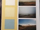 Mountain Goats RARE Come Come to the Sunset Tree Handmade Vinyl LP #169/1000
