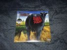 Blink 182 - Dude Ranch Lp Green Day Nofx Rise Against AFI Anti Flag