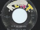 FLASH TERRY 45RPM '58 KENT ON MY WAY BACK HOME/ONE THING WE KNOW BLUES ROCKER