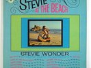 Stevie Wonder 