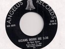 STONE GARDEN  Oceans Inside Me (Angelus)Rare NW Garage Fuzz Psych Mod 45 HEAR
