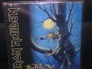 IRON MAIDEN     Fear of the Dark    2 Lps von 1992        richtig gute Mucke