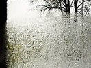 Bon Iver For Emma Forever Ago Vinyl LP New Sealed Clear Limited /1000 Rare OOP
