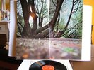 Fat Mattress - S/T  583 056  UK LP 1st Press 1969 Polydor Noel Redding