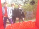 BEE GEES Studio Albums 6 lp  vinyl box set 1st Idea Horizontal barry gibb robin