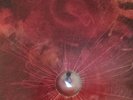 Animals as Leaders-The Joy of Motion,Double LP,12