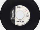 Rare Surf Ventures Don Wilson 45 
